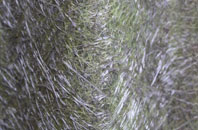 Kilham fibreglass roof work